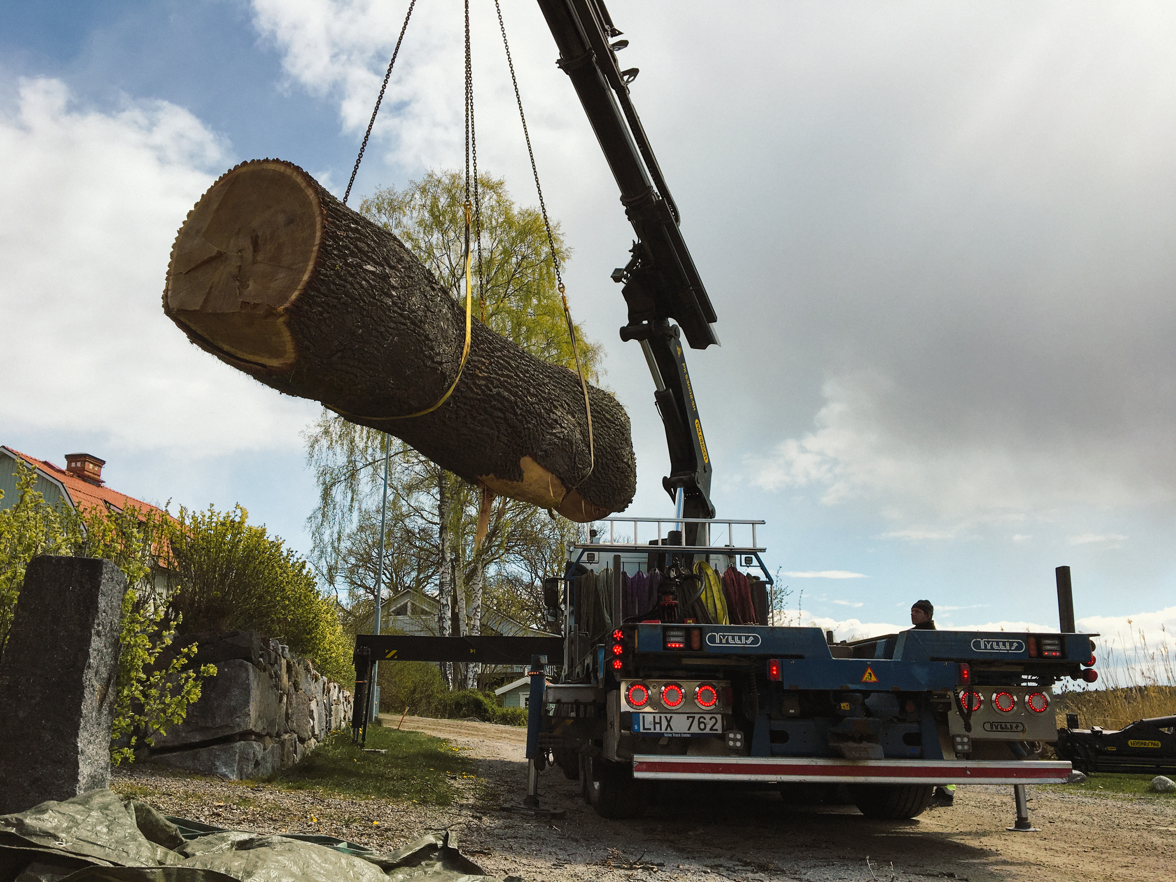 Trädfällning gävleborg hjälper till med bortforsling